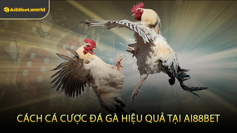 Cách Cá Cược Đá Gà Hiệu Quả Tại Ai88bet