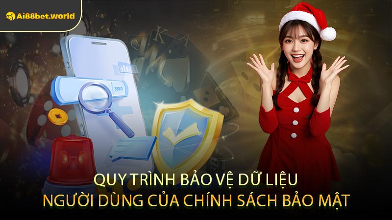 Quy Trình Bảo Vệ Dữ Liệu Người Dùng Của Chính Sách Bảo Mật